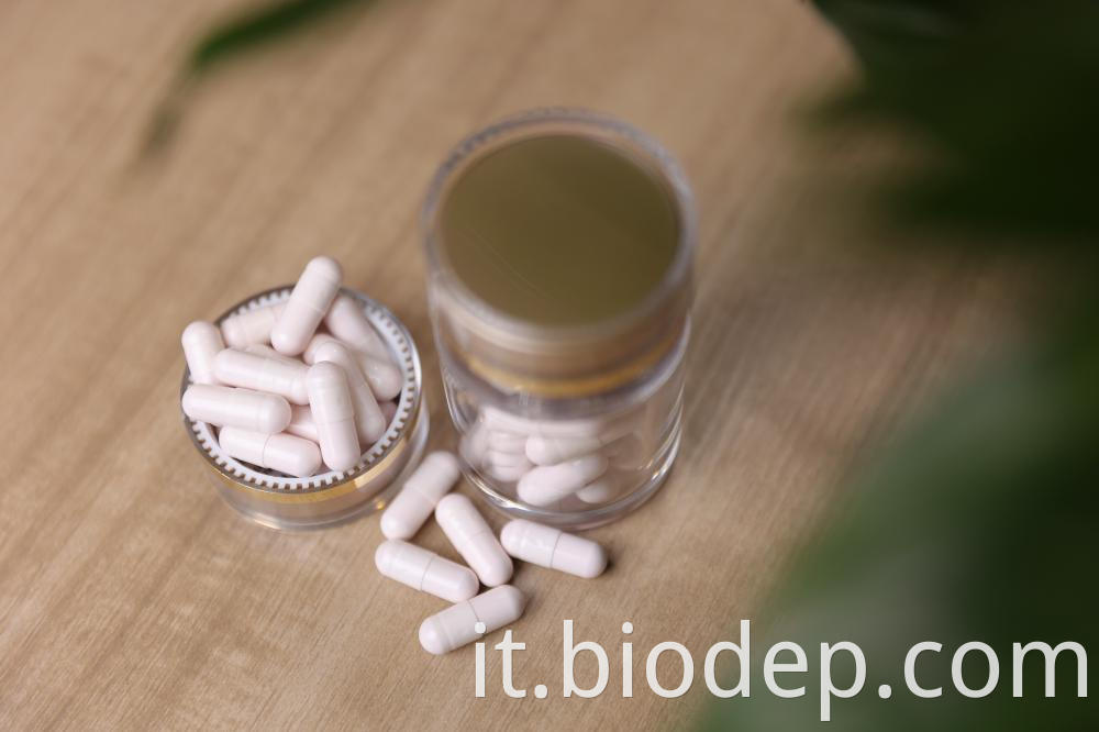 Lactobacillus Rhamnosus